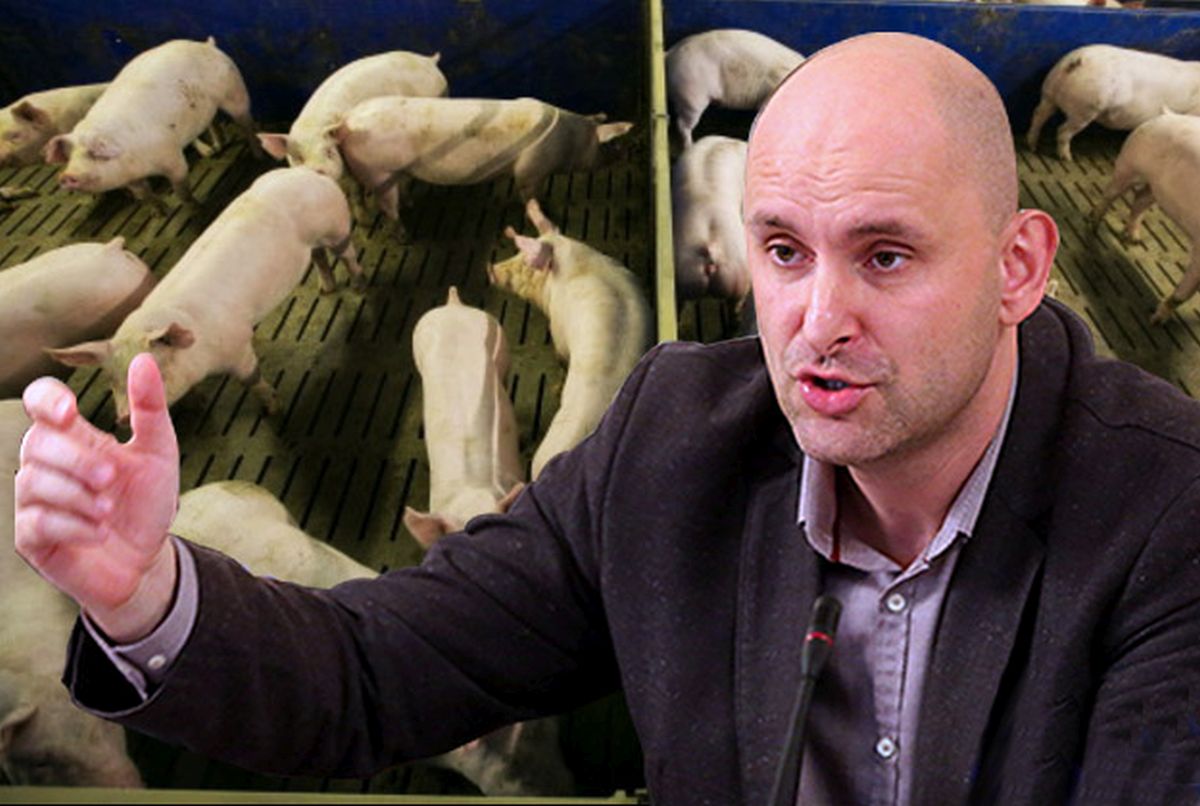 Ministarstvo poljoprivrede objavilo što su radili prvih 100 dana vlade (osim što su tražili salmonelu)