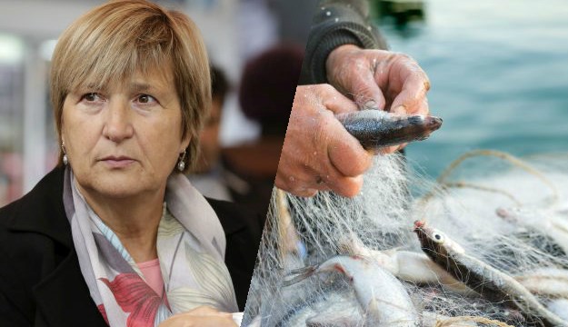 Ruža Tomašić u Bruxellesu napravila veliku stvar za male ribare