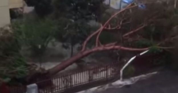 Tornado pogodio Firencu: 20 osoba ozlijeđeno, prekinut željeznički promet prema Rimu