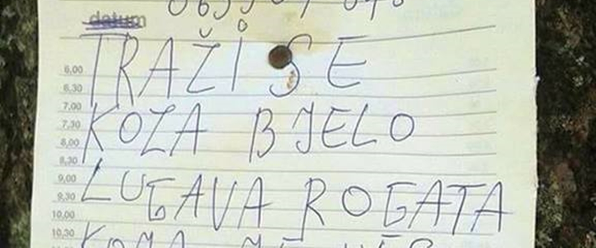 Bosanac traži nestalu kozu preko oglasa, nudi i novčanu nagradu