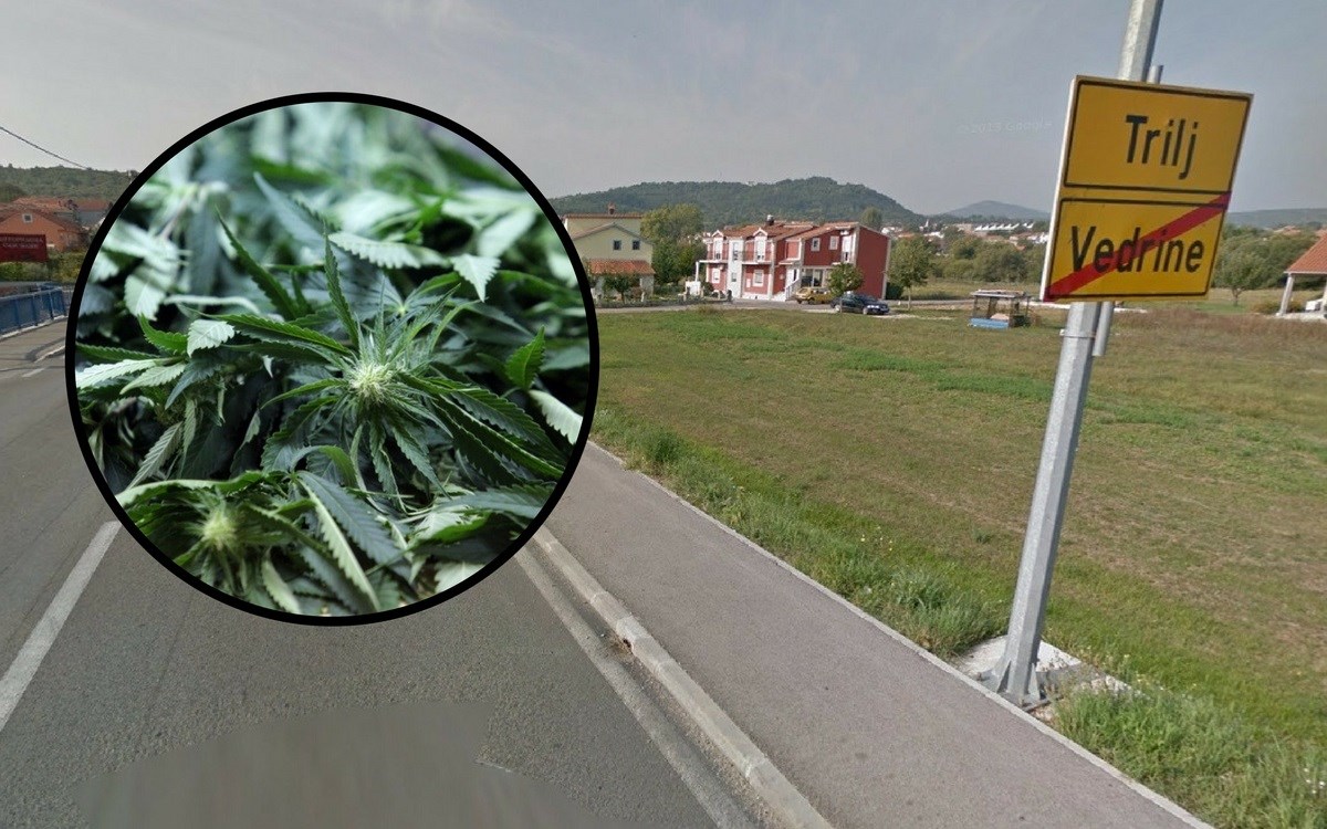 Policija uhitila muškarca dok je zalijevao plantažu marihuane kraj Trilja