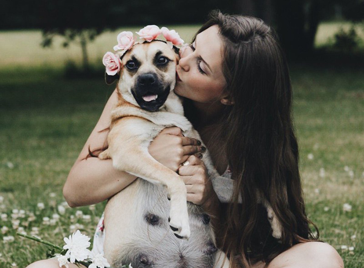 Djevojka je napravila predivne fotografije svoje skotne kujice i time raznježila cijeli svijet