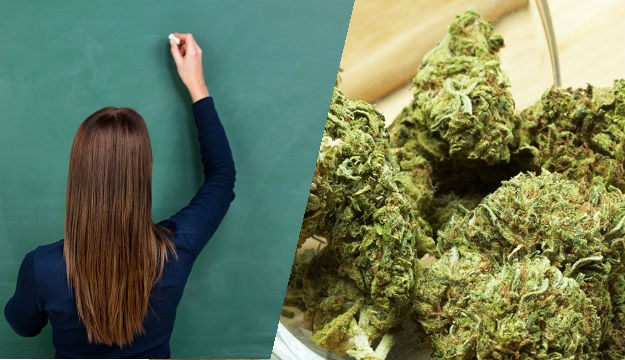 Učiteljica iz Koprivnice kod kuće uzgajala marihuanu i halucinogene gljive pa ih prodavala učenicima