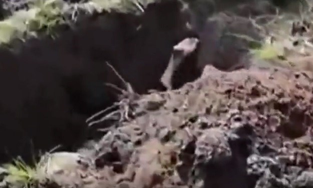 Uznemirujuća snimka: Ukrajinci proruskog separatista ubacili u grob i živog zakopali