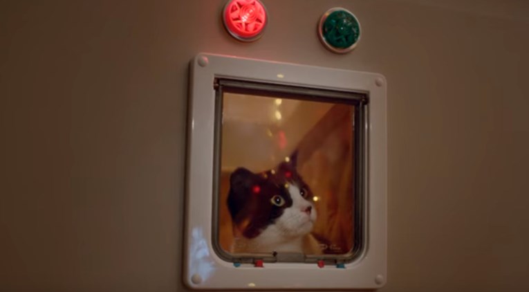 VIDEO Evo što se dogodi kada pustite mace u prostoriju s božićnim ukrasima