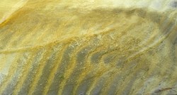 Mrlje ulja pojavile su se u Pelješkom, Korčulanskom i Neretvarnskom kanalu