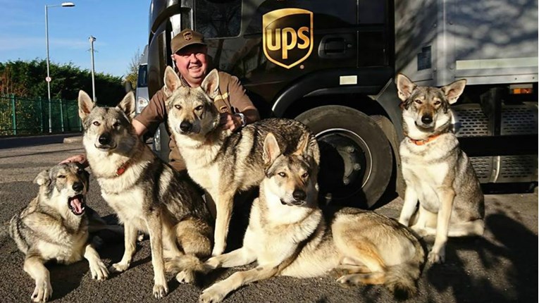 Pokrenuta zanimljiva Facebook stranica - fotografiraju pse vlasnika kojima donose pakete