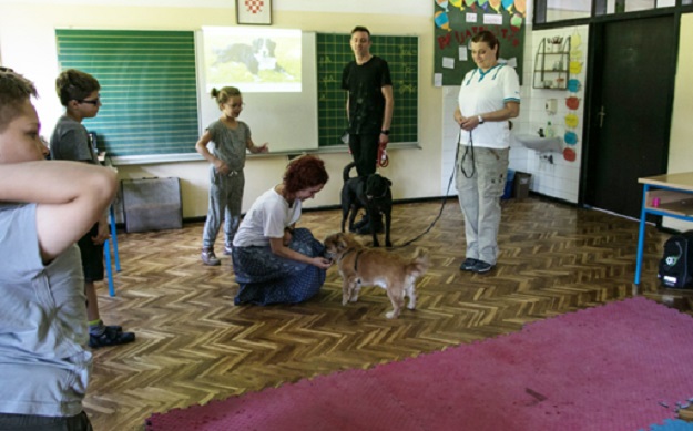 Traže se volonteri: Zajedno sa psom pomozite edukaciji djece!