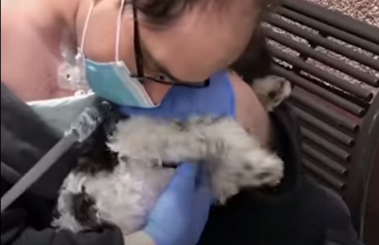 VIDEO Dirljivi susret psića i njegovog bolesnog vlasnika rastopit će i najhladnija srca