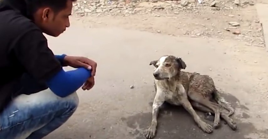 VIDEO Pronašli su nepokretnog psa na ulici i spasili mu život