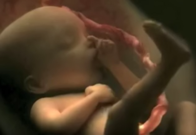 Vidjeli smo mnoge video simulacije trudnoće, ali nijedna nije kao ova