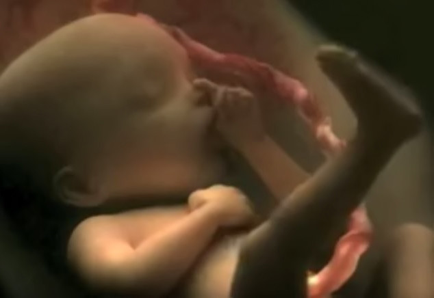 Vidjeli smo mnoge video simulacije trudnoće, ali nijedna nije kao ova