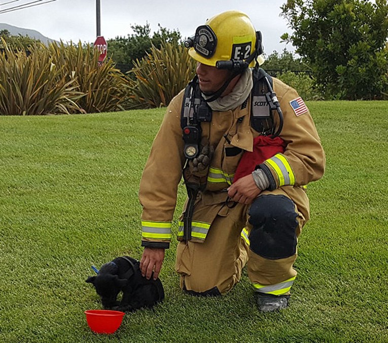 Vatrogasci su spasili psića iz goruće kuće i otkrili nešto što je prestravilo svijet