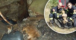 FOTO Heroji dana: Hrabri vatrogasci iz 15 metara duboke jame pune lešina spasili odbačene štence