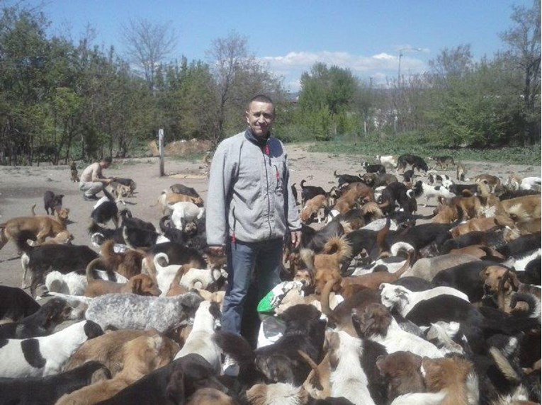 Saša iz Niša koji čuva 800 pasa lutalica trenutno je najveća faca u Srbiji