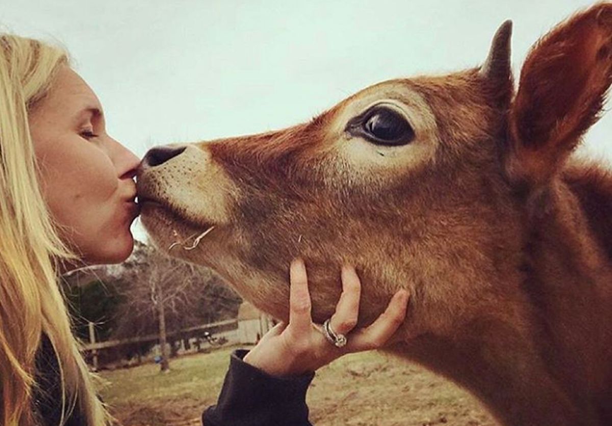 Mogu li vegani probaviti mračnu priču o tome kako nastaje njihova hrana?