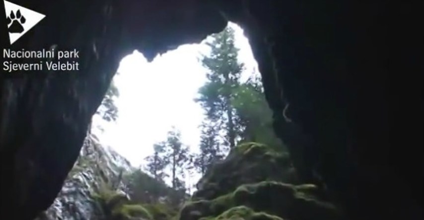 Otkriće nove životinjske vrste na Velebitu obišlo svijet: "Bog podzemlja" iz velebitskih jama