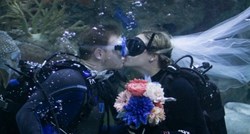 VIDEO Par sudbonosno da proslavio ispod vode, u akvariju sa životinjama
