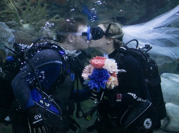 VIDEO Par sudbonosno da proslavio ispod vode, u akvariju sa životinjama