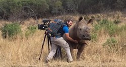 Ovaj je nosorog prišao kamermanu i zahtijevao maženje
