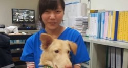 "Ubojica lijepog lica": Nakon 700 pasa veterinarka eutanazirala i samu sebe!