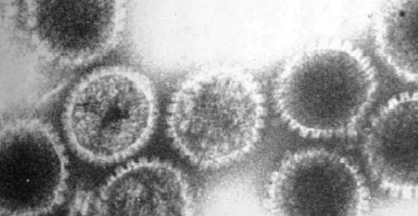 Odobrena prva terapija koja koristi viruse za razaranje raka
