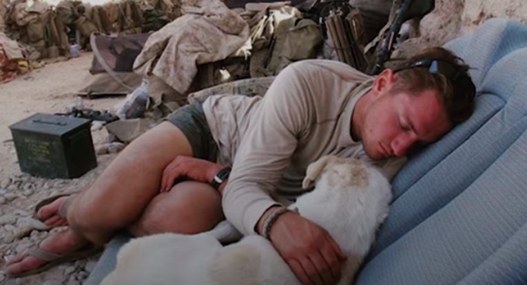 Ratna priča koja je dobila sretan kraj - Pronašao je psića u Afganistanu i uspio ga odvesti doma