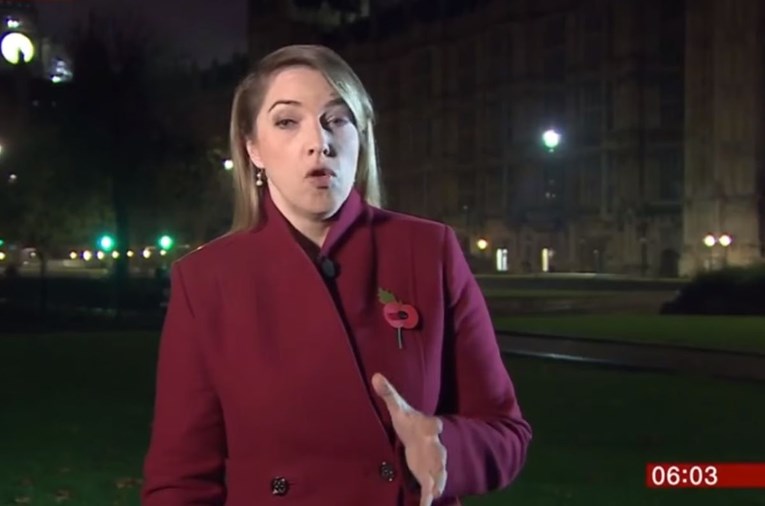 VIDEO "Pa to je seks": BBC-jeva novinarka nije imala pojma što će se dogoditi kad se javi uživo