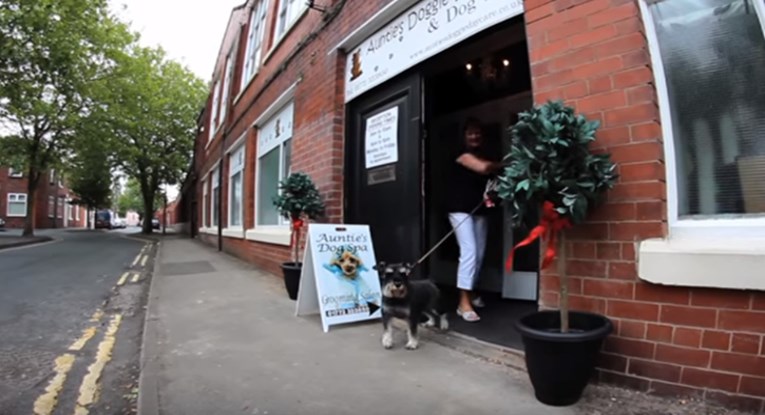 VIDEO Ovako izgleda jedan dan proveden u vrtiću za pse