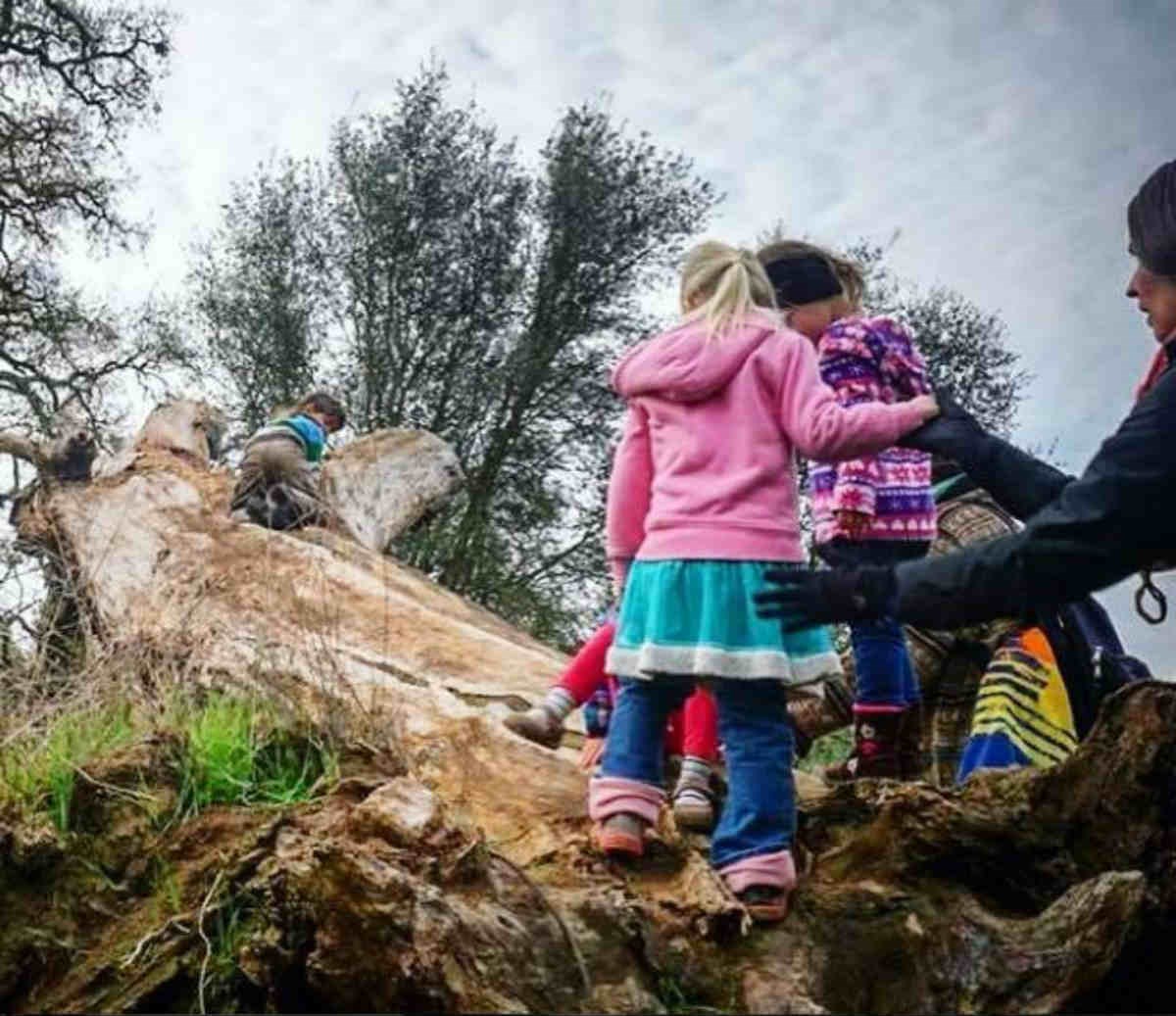 Biste li upisali svoje dijete u ovakav vrtić?