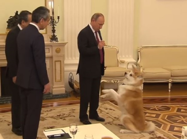 VIDEO Putinov pas odbijao se držati protokola, evo kako ga je smirio