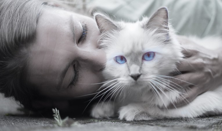 Znanstvenici su dokazali - mačke nas doista vole i to više od hrane