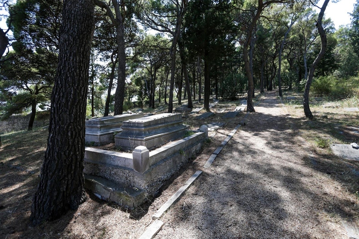 Na Marjanu osušena i zaražena petina stabala