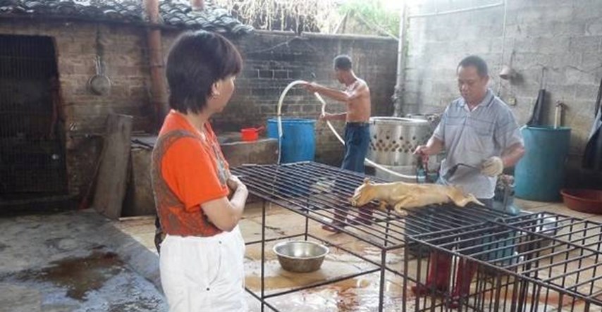 Aktivisti pokušavaju zaustaviti kineski festival tijekom kojeg se pojede 10.000 pasa