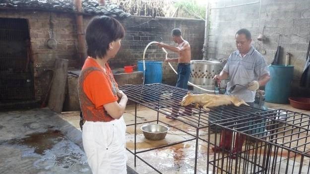 Aktivisti pokušavaju zaustaviti kineski festival tijekom kojeg se pojede 10.000 pasa