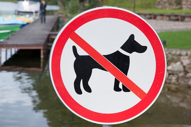 Šibenik zabranio šetnju pasa na javnim površinama: Kazne i do 2000 kuna