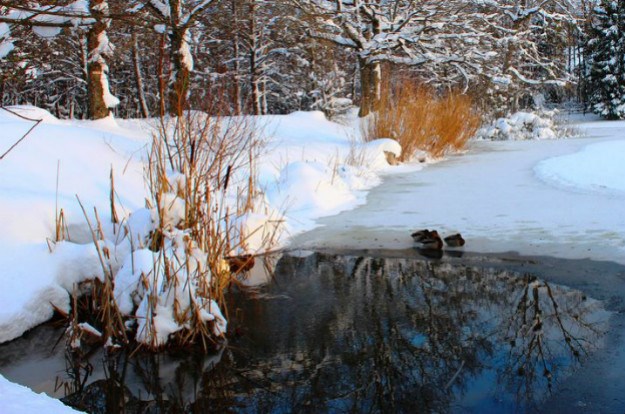 Tragedija kraj Đakova: Dvojica braće utopila se u ribnjaku