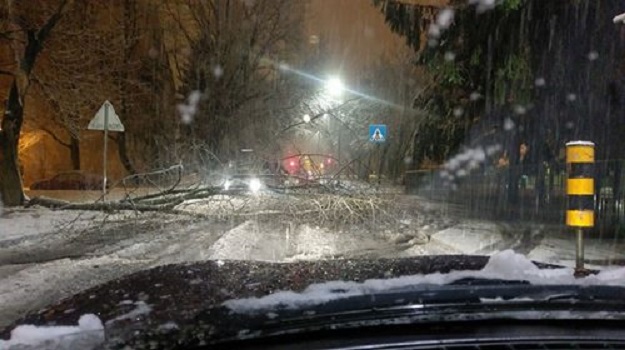 FOTO Snijeg paralizirao promet u Zagrebu, u Zapoljskoj ulici stablo se srušilo na cestu
