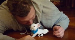 Pronašao paraliziranog zeca, a ono što je napravio za njega je nevjerojatno