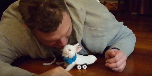 Pronašao paraliziranog zeca, a ono što je napravio za njega je nevjerojatno