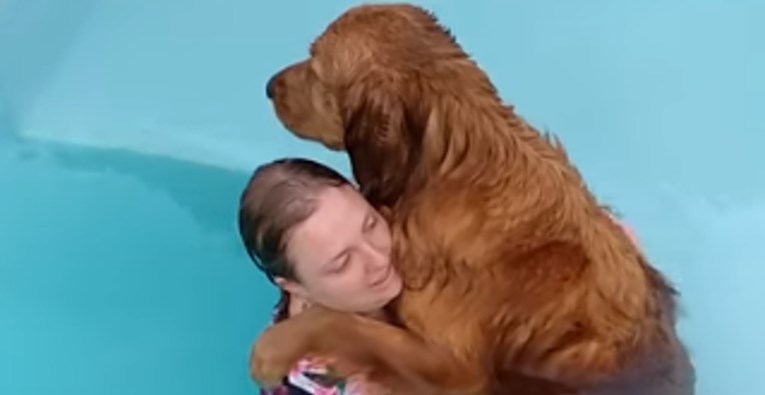 VIDEO Ovaj pas obožava kupanje i u bazenu uvijek radi istu stvar