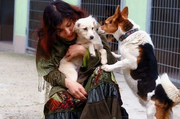 "Bila sam novinarka i imala savršen život, a danas spavam na cesti i gladujem"