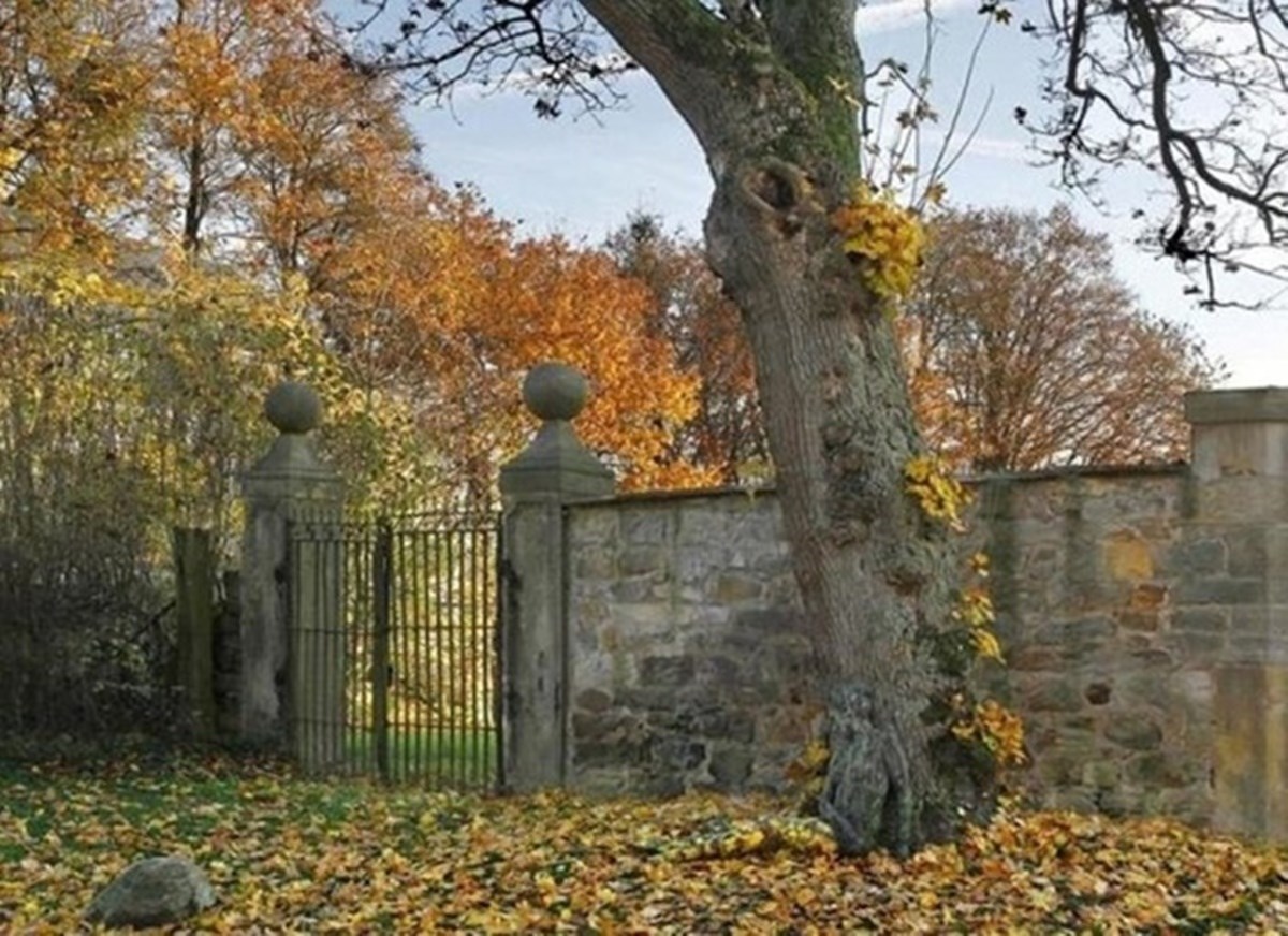 Ako pronađete ženu na ovoj fotografiji, vi ste genijalac