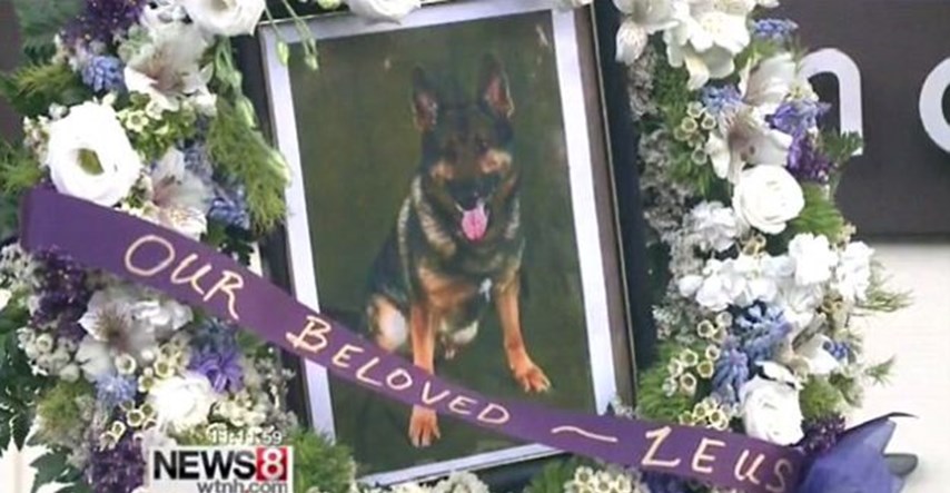 Zbogom, Zeuse: Stanovnici gradića okupili se i oprostili od teško bolesnog policijskog psa