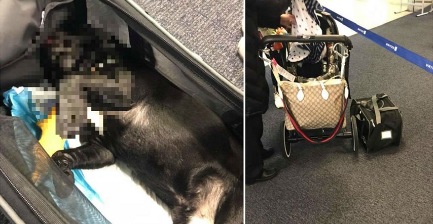 Stjuardesa natjerala ženu da za vrijeme leta stavi psića u pretinac za ručnu prtljagu, uginuo je