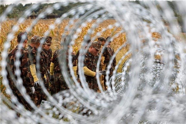 Talijanski političar cvijećem protiv bodljikave žice u Istri: "Ograda ugrožava temelje EU"