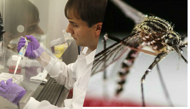 Dokazano: Virus zike povezan s autoimunom bolesti koja napada živčani sustav