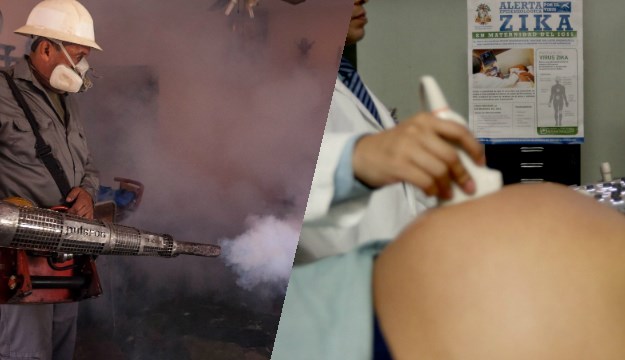 Bolest se nezaustavljivo širi: Više od 3100 trudnica u Kolumbiji ima virus zika