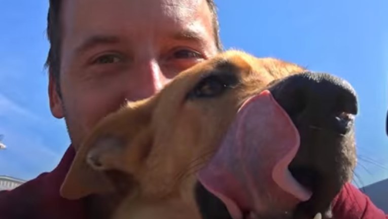 Ovaj čovjek čini nešto nevjerojatno kako bi spasio pse i mace iz azila koji ubijaju ljubimce