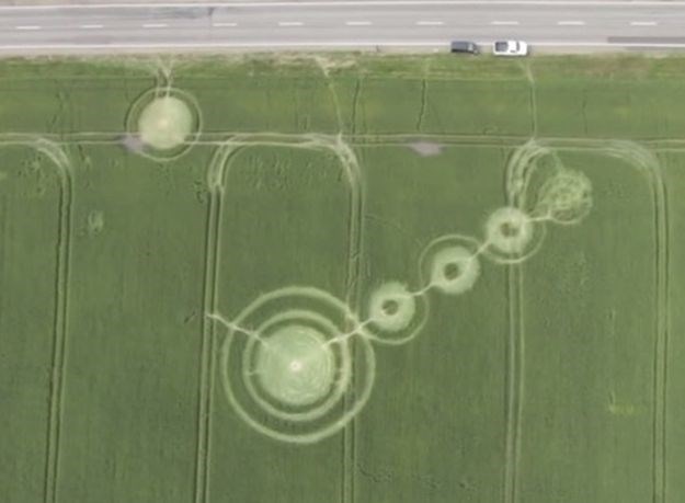 I njih muče simboli na zelenoj površini: Ruski seljaci našli misteriozne krugove u žitu